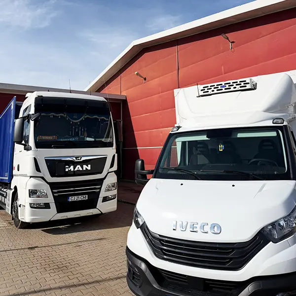 logistica